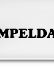 simpeldate review